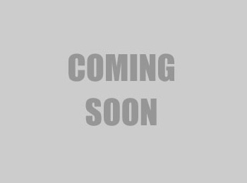 International DT530 NEW