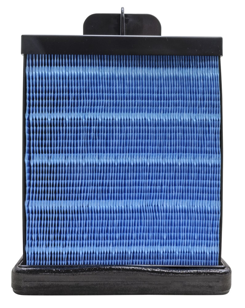 Donaldson Blue Primary Panel Air Filter