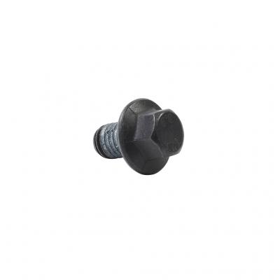 SCREW (Pack of 5)
