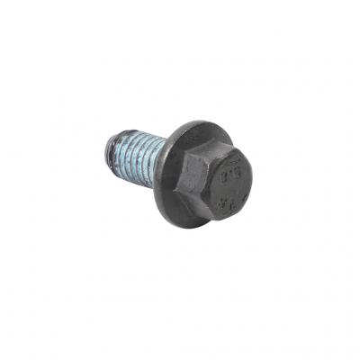 SCREW (Pack of 5)