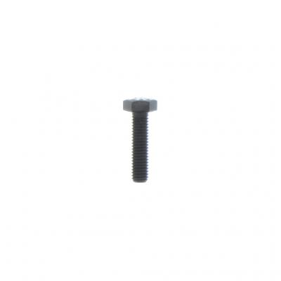SCREW (Pack of 10)