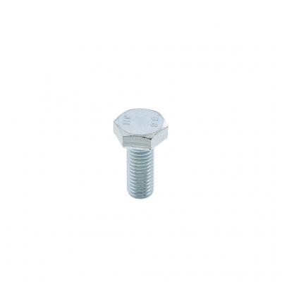 SCREW (Pack of 6)