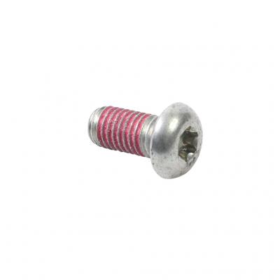 SCREW (Pack of 6)