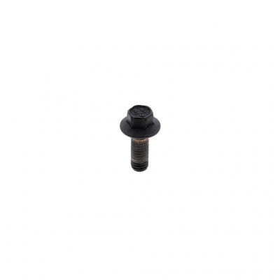 FLANGED HEX HEAD CAPSCREW (Pack of 10)