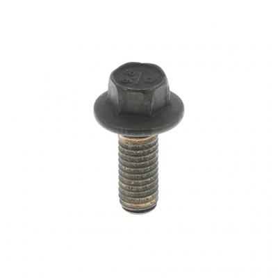 Flanged Hex Head Capscrew (Pack of 10)