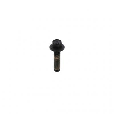 SCREW (Pack of 10)