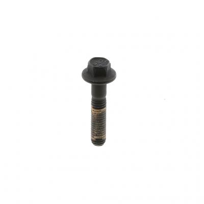 SCREW (Pack of 10)