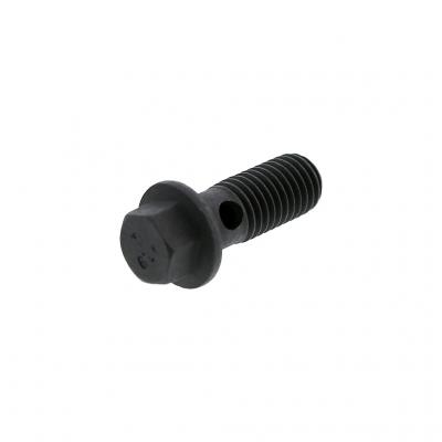BANJO SCREW (Pack of 3)