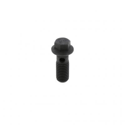BANJO SCREW