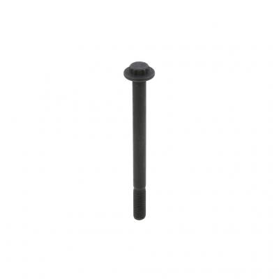 SCREW (Pack of 2)
