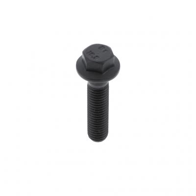 FLANGED HEX HEAD CAPSCREW (Pack of 5)