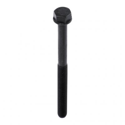FLANGED HEX HEAD CAPSCREW (Pack of 4)