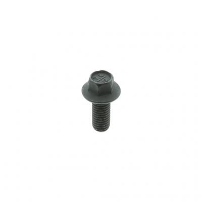 SCREW (Pack of 10)