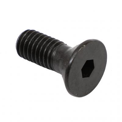 FLATHEAD SCREW (Pack of 10)
