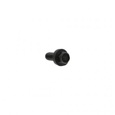 FLANGED HEX HEAD CAPSCREW (Pack of 5)