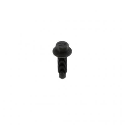 SCREW (Pack of 4)