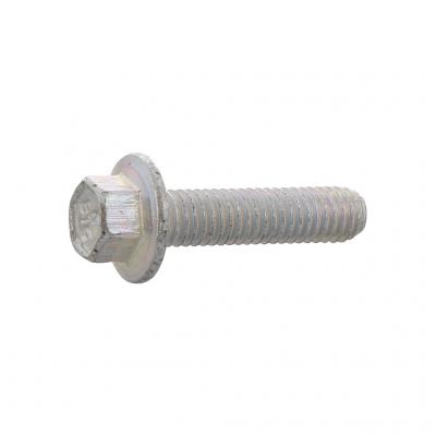 SCREW (Pack of 3)