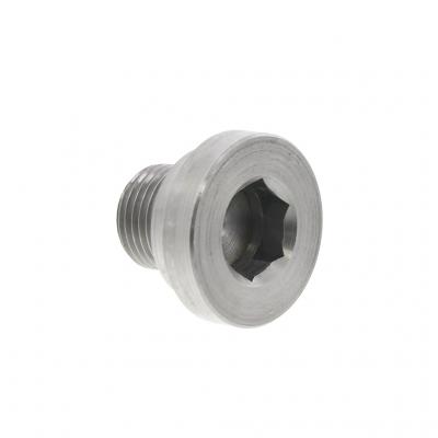 ROCKER LEVER SHAFT PLUG
