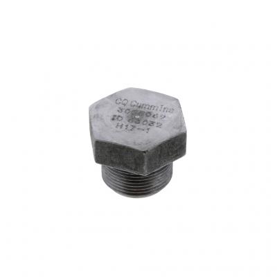 DRAIN PLUG (Pack of 2)