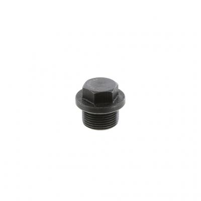 OIL PAN DRAIN PLUG