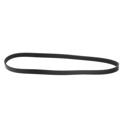 SERPENTINE BELT
