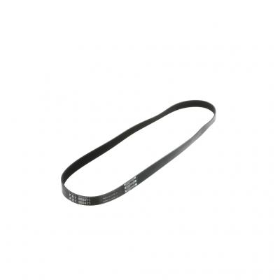 SERPENTINE BELT