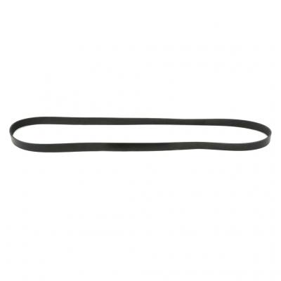 SERPENTINE BELT