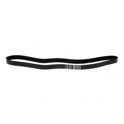 SERPENTINE BELT