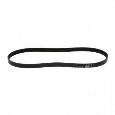 SERPENTINE BELT