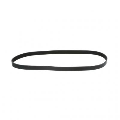 SERPENTINE BELT