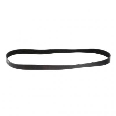 SERPENTINE BELT