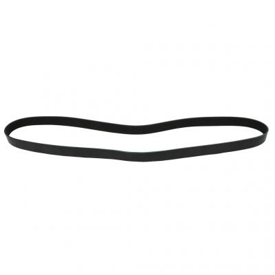 SERPENTINE BELT