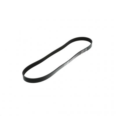 SERPENTINE BELT