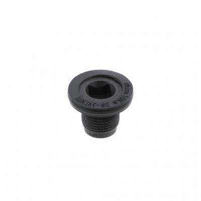 OIL PAN DRAIN PLUG