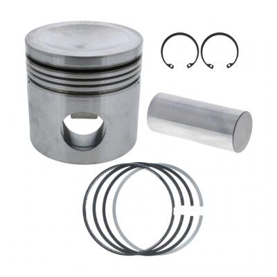 NATURAL GAS PISTON KIT