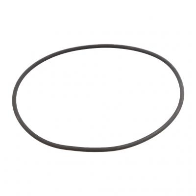 O-RING (Pack of 10)
