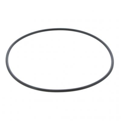 O-RING (Pack of 10)