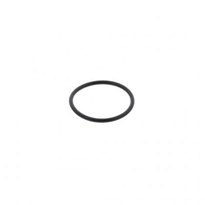 O-RING (Pack of 10)