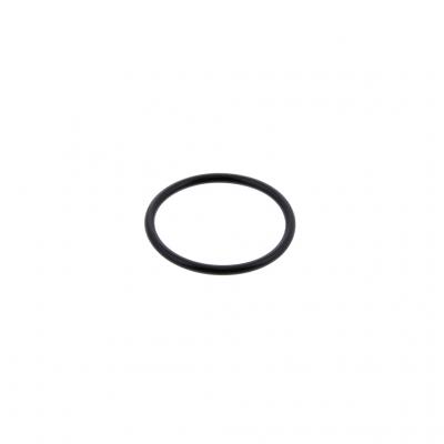 O-RING (Pack of 10)