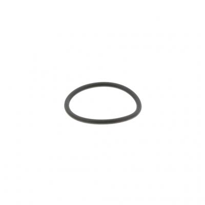 O-RING (Pack of 10)
