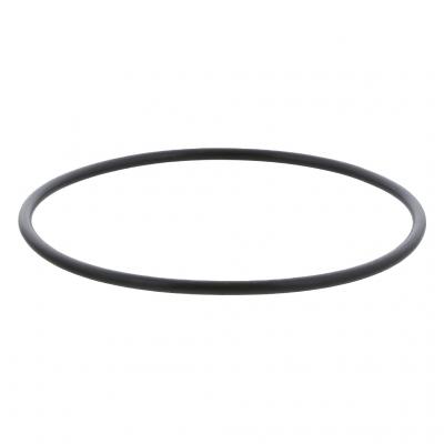 O-RING (Pack of 10)