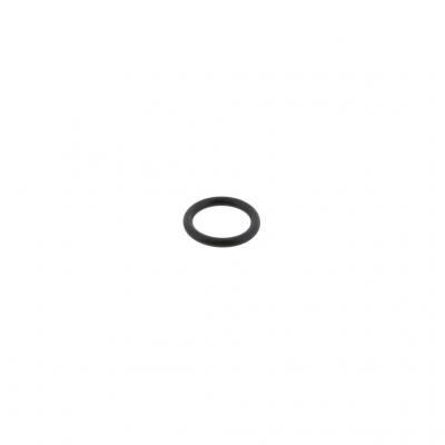 O-RING (Pack of 10)