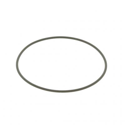O-RING (Pack of 10)