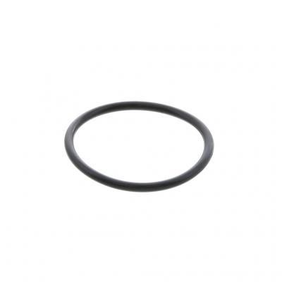 O-RING (Pack of 10)