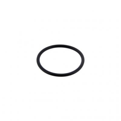 O-RING (Pack of 10)