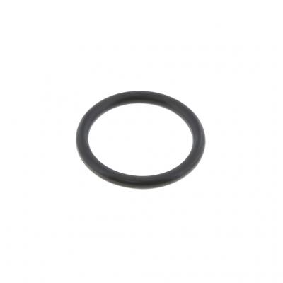 O-RING (Pack of 6)