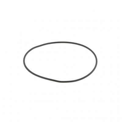 O-RING (Pack of 10)