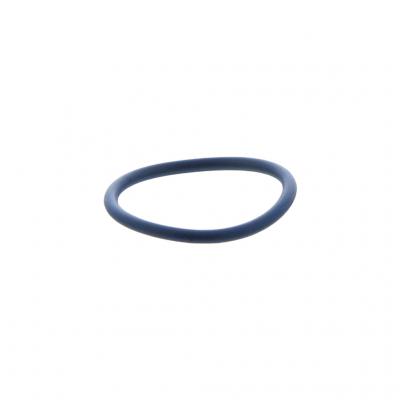 O-RING (Pack of 10)