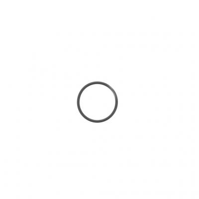 O-RING (Pack of 10)