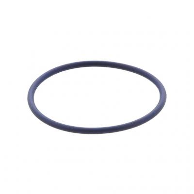 O-RING (Pack of 10)